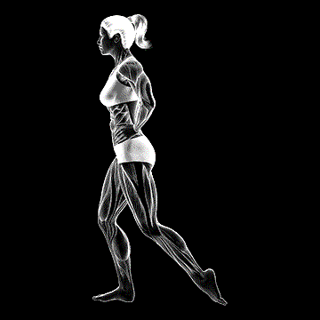 Standing Toe Extensor Stretch demonstration