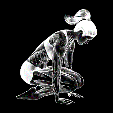 Double Kneeling Shin Stretch demonstration
