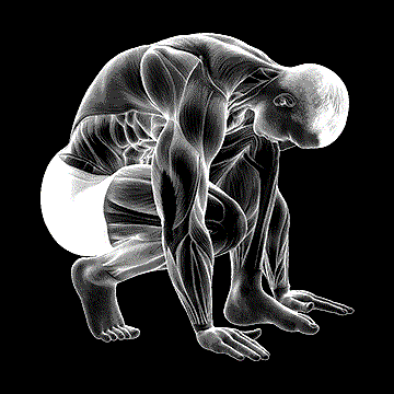 Squatting Toe Stretch demonstration