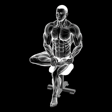 Seated Toe Extensor Stretch demonstration