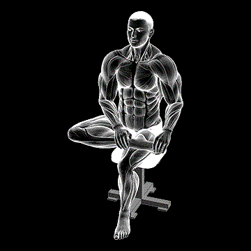 Seated Toe Extensor And Foot Inverter Stretch demonstration