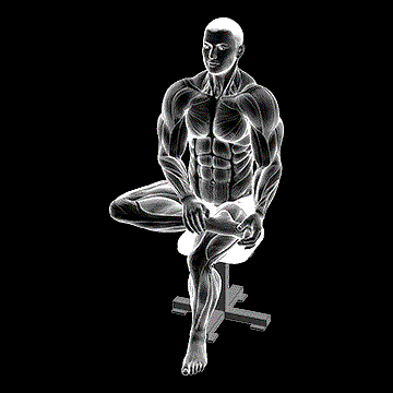 Seated Toe Flexor Stretch demonstration
