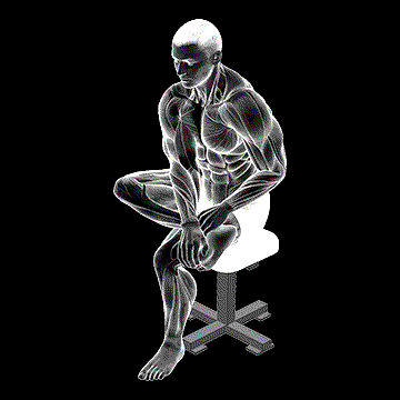 Seated Toe Flexor And Foot Inverter Stretch demonstration