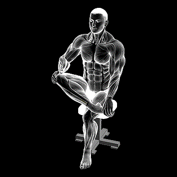 Mobilization Of Ankle Stretch demonstration
