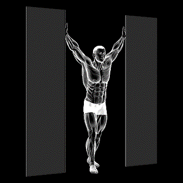Standing Upright Shoulder Stretch demonstration