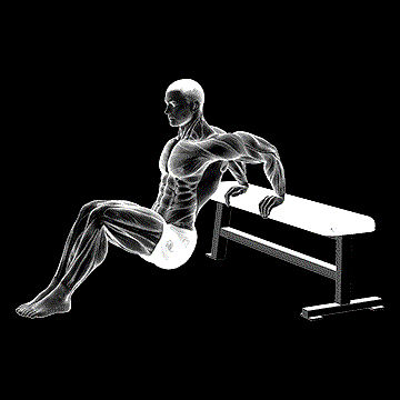 Sitting Shoulder Stretch On Bench demonstration