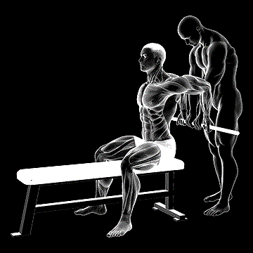Assisted Sitting Reverse Shoulder Stretch demonstration