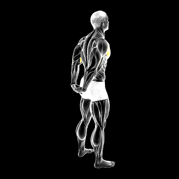 Standing Reverse Shoulder Stretch demonstration