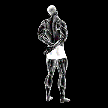 Adduction Of Arm In Back Stretch demonstration