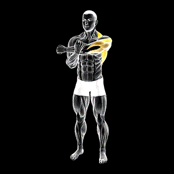 Across-Chest Shoulder Stretch demonstration