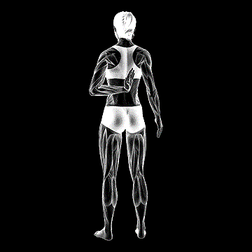 Reaching-Up Shoulder Stretch demonstration