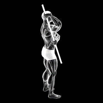Arm-Up Rotator Stretch demonstration