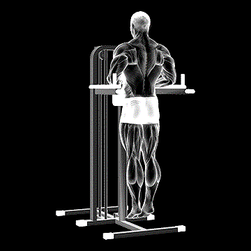 Depression in Parallel Bars Stretch demonstration