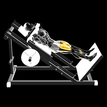 Sled Full Hack Squat demonstration