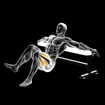 Single-leg Hip Thrust demonstration