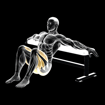 Hip Thrust demonstration