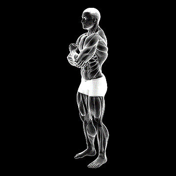 Shoulder Adductor Protractor and Elevator Stretch demonstration