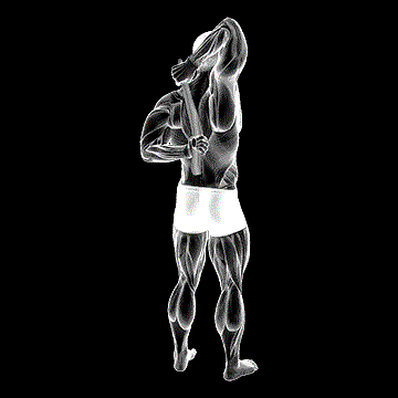 Shoulder Stretch (w/ Towel Behind The Back) demonstration