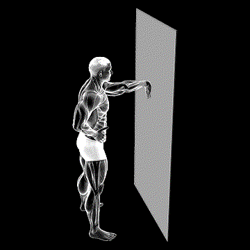 Wall Flexor Stretch demonstration