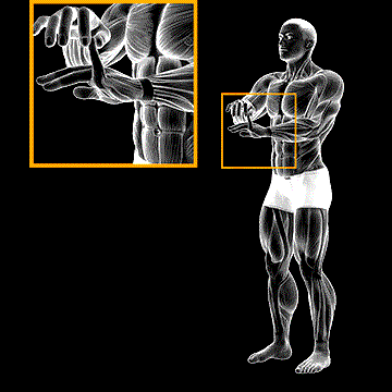 Finger Extension Stretch demonstration