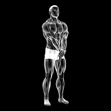 Adduction Hand (w/ Elbow Extended Stretch) demonstration