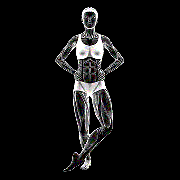 Front Cross-over Shin Stretch demonstration