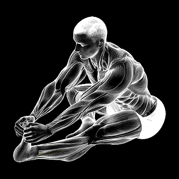 Sitting Toe Pull Calf Stretch demonstration