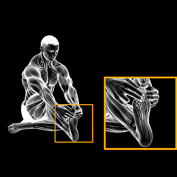 Separation Between Fingers Stretch demonstration