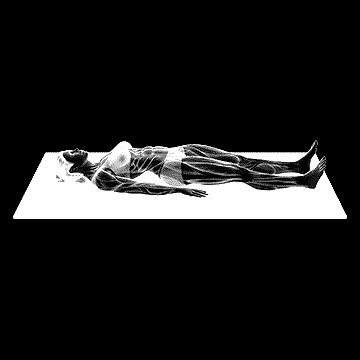 Lower Trunk Flexor Stretch demonstration