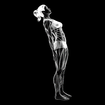 Standing Lean-Back Stomach Stretch demonstration