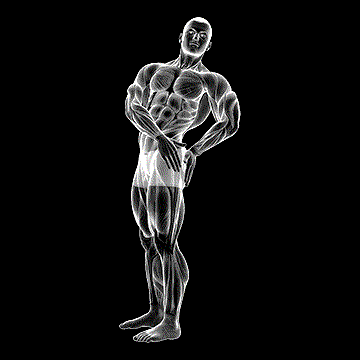 Standing Abs Rotation Stretch demonstration