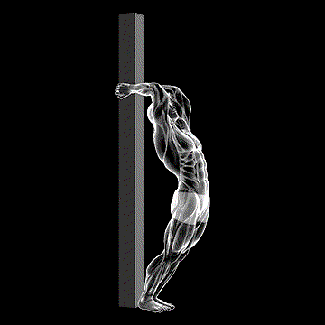 Hip Extension Supported From Back demonstration