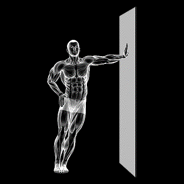 Standing Lower Trunk Lateral Flexor Stretch demonstration