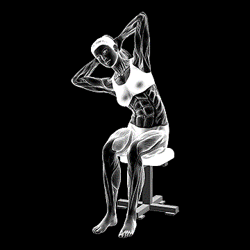 Seated Lower Trunk Lateral Flexor Stretch demonstration