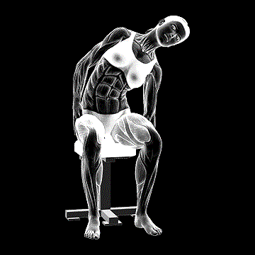 Sitting Lateral Side Stretch demonstration