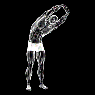 Standing Side Stretch demonstration