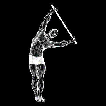 Standing Side Stretch (w/ Stick) demonstration