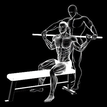 Assisted Oblique Stretch demonstration