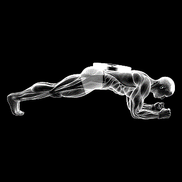 Weighted Front Plank demonstration
