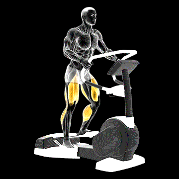 Walk Wave Machine demonstration