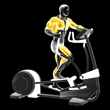 Walk Elliptical Cross Trainer demonstration