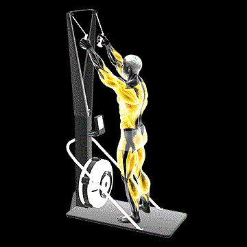 Ski Ergometer demonstration