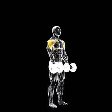 Dumbbell Standing Around World demonstration