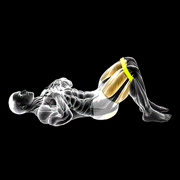 Band Glute Bridge demonstration
