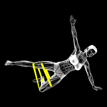 Band Kneeling Side Plank demonstration