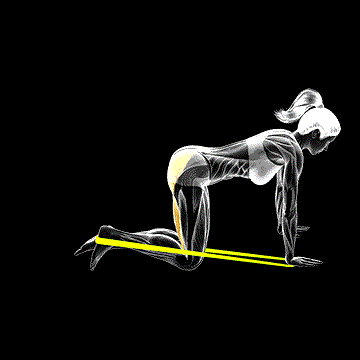 Band Leg Kickback demonstration
