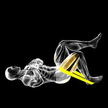 Band One-Leg Glute Bridge demonstration