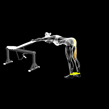 Band One-Leg Kickback (Bent Position) demonstration