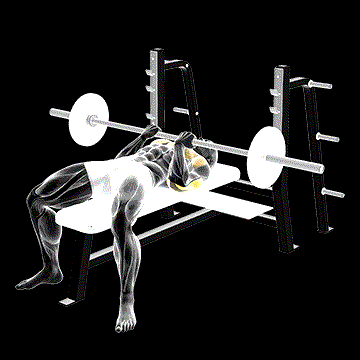 Barbell Reverse Close-Grip Bench Press demonstration