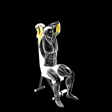 Dumbbell Seated Triceps Extension demonstration